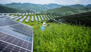 China pushes for integrated development of coal, new energy sectors