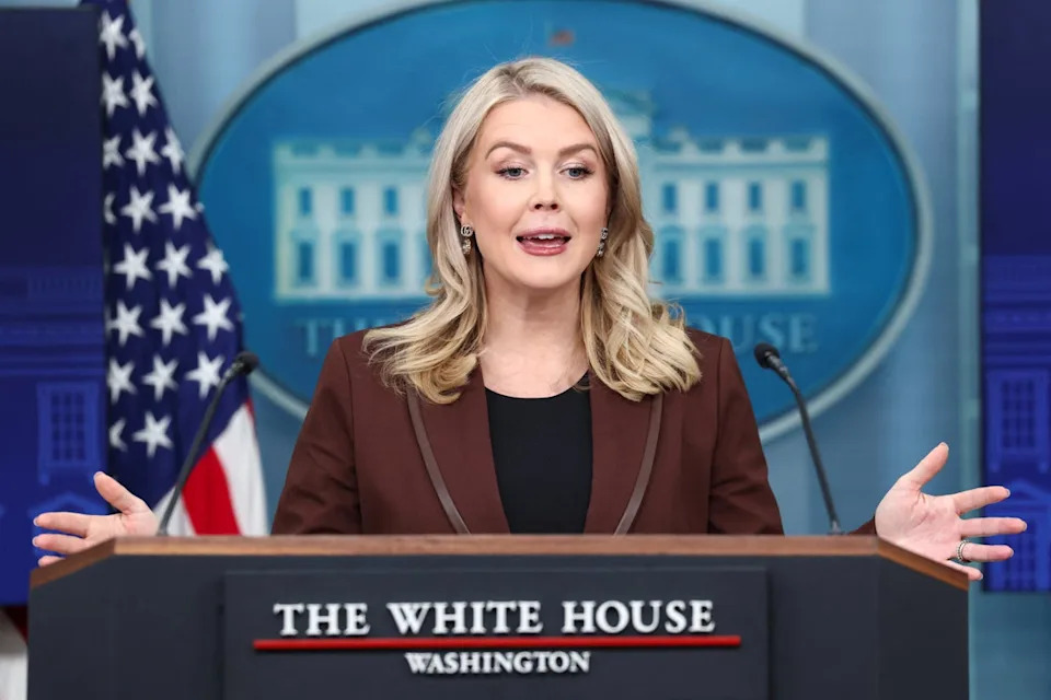 White House press secretary Karoline Leavitt speaks during a briefing at the White House in Washington, D.C., U.S., November 12, 2025 (REUTERS)