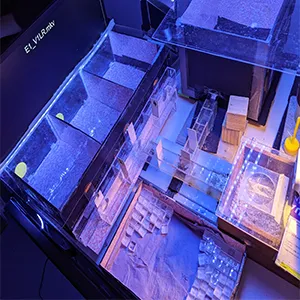 Experimental apparatus used to teach Morse code and timing to bumblebees. On the right is the wooden nest box where bees live. It is connected by acrylic tunnels to the observation chamber at the top of the picture and the three experimental compartments on the left. Bees feed in the observation chamber and those bees that were motivated to feed (active foragers) were chosen for experiments. The experimental compartments are where the bees were presented with the stimuli and solutions (sugar or bitter quinine during training and water during test). Credit: Alex Davidson, Queen Mary University of London