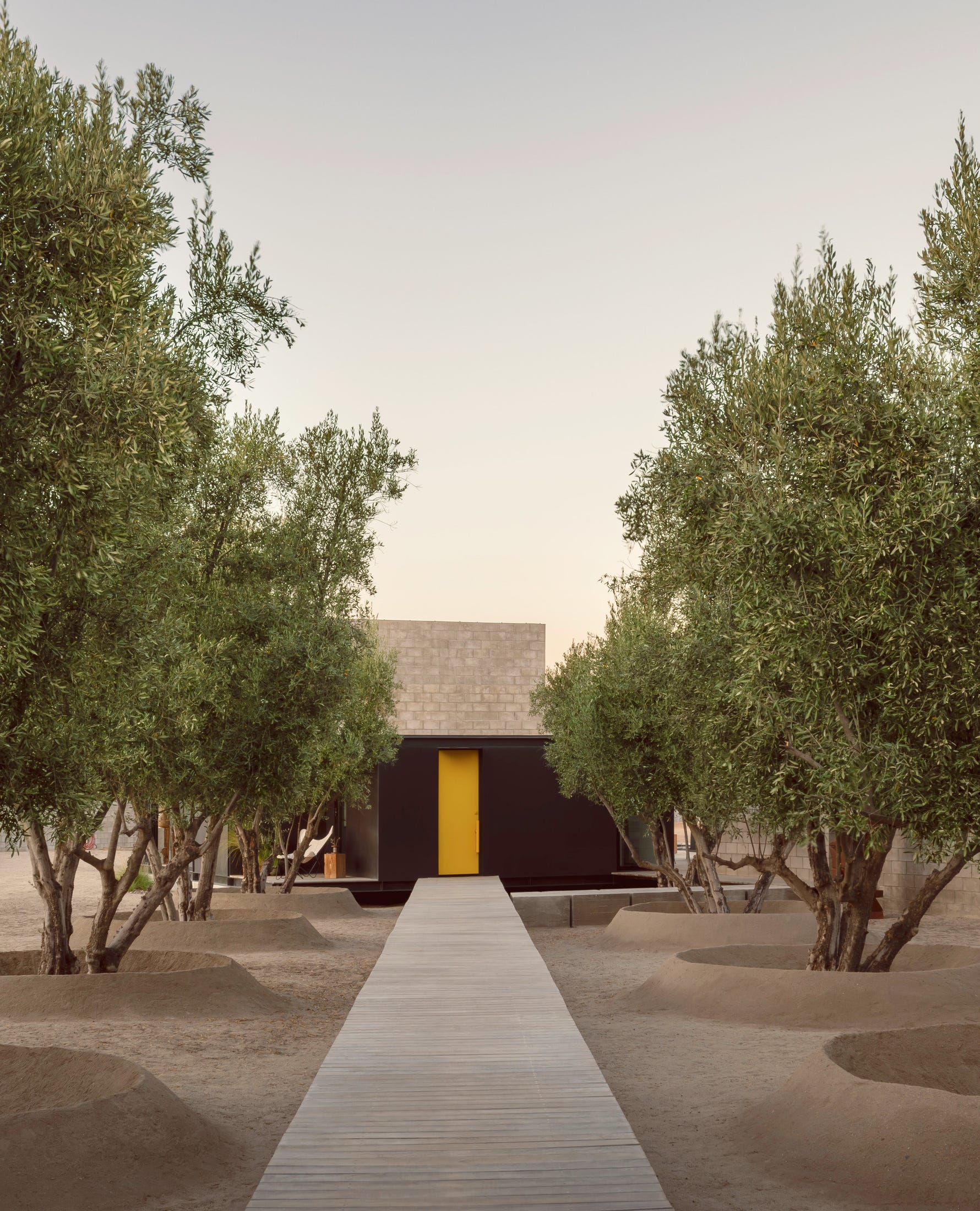 Modern architecture integrated into a natural landscape with olive trees.