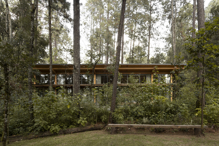 House in the Forest / Vasconcelos Arquitectura + Espacio Tangible - Image 7 of 27