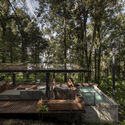 House in the Forest / Vasconcelos Arquitectura + Espacio Tangible - Image 5 of 27