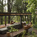 House in the Forest / Vasconcelos Arquitectura + Espacio Tangible - Image 2 of 27