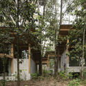 House in the Forest / Vasconcelos Arquitectura + Espacio Tangible - Exterior Photography, Wood, Forest