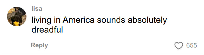 Comment saying living in America sounds absolutely dreadful, illustrating opinions on pay for ambulance rides in the US.