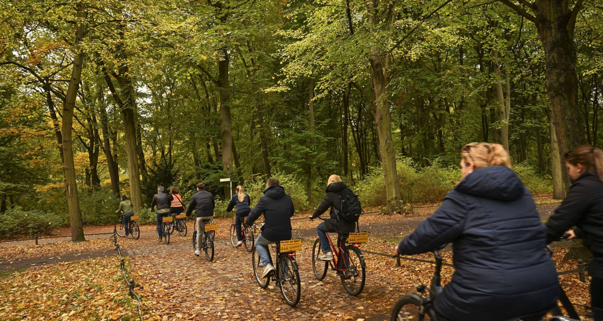 'It's not about reinventing the wheel' - how cycling can help fight climate change