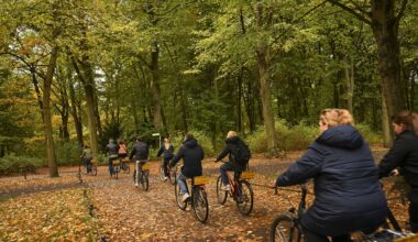 'It's not about reinventing the wheel' - how cycling can help fight climate change