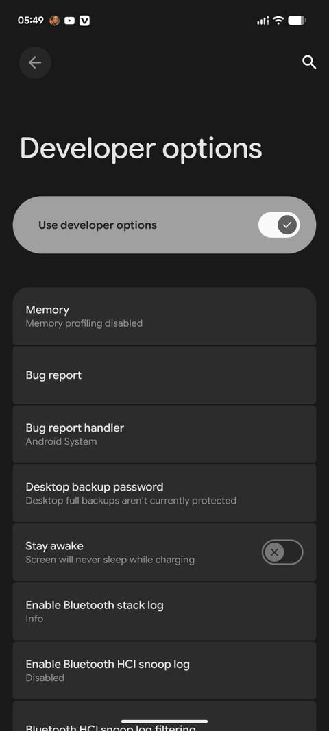 Developer options enabled in Android