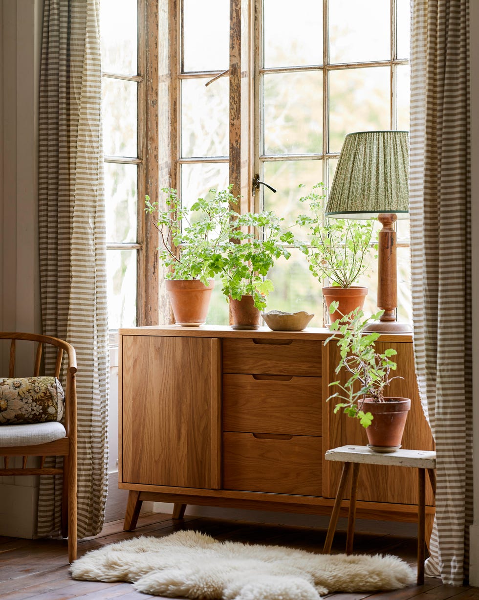 rustic window setting with plants and rug by cabinet