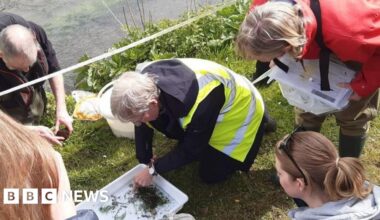 Citizen science tackles Dorset's invisible river pollution