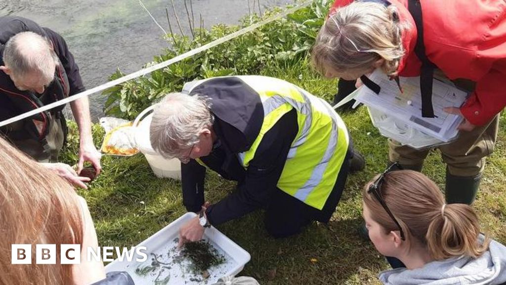 Citizen science tackles Dorset's invisible river pollution