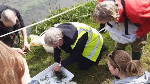 Dorset Wildlife Trust A group of five men and women stand on a river bank around a white tray containing water, soil, plant matter and insects. One person wearing a high-viz vest is kneeling on the grass pointing at something in the tray while the others look on.