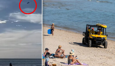 Beachgoers warned as planes patrol for hidden 'danger' along Aussie coastline