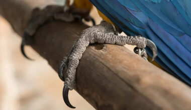 Yahoo lifestyle home