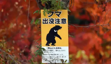 The image was originally created by a company employee for fun, but one colleague believed it was real and reported it to the boss.