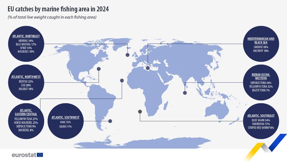 EU catches by marine fishing area in 2024  (% of total live weight caught in each fishing area). Chart. See links to the full datasets below.
