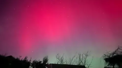 BBC weather watcher / Maureen The Northern Lights lighting up the sky in shades of pink. A row of trees are visible at the bottom of the image. 