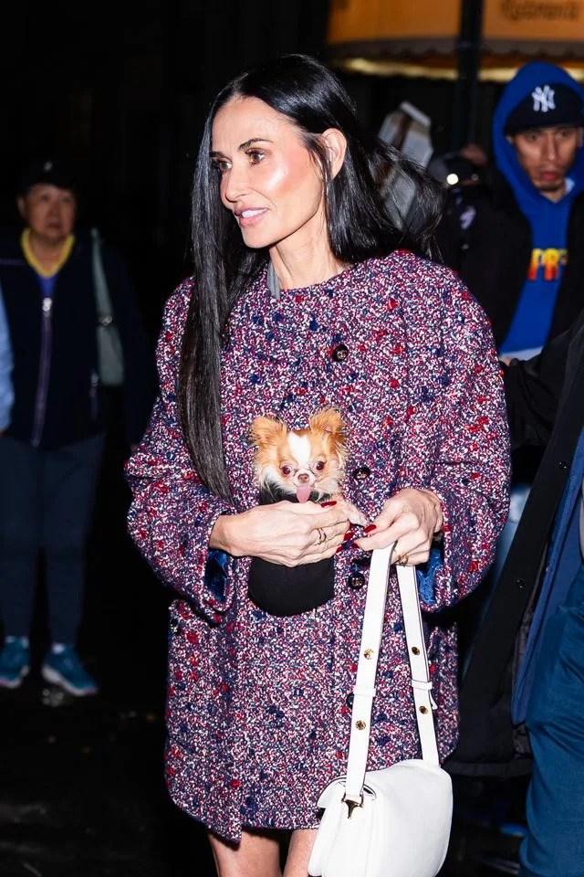 Getty Images Demi Moore and dog Pilaf are seen in Midtown on November 9