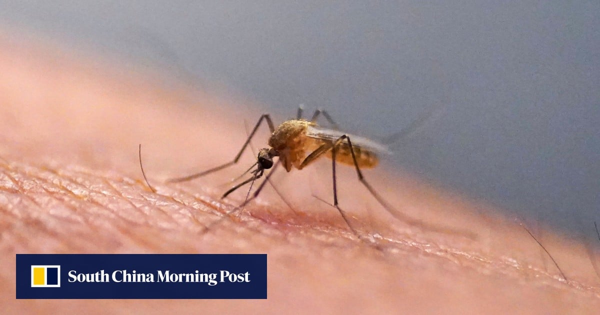 Chikungunya strikes two Hong Kong travellers as infection count rises to 70