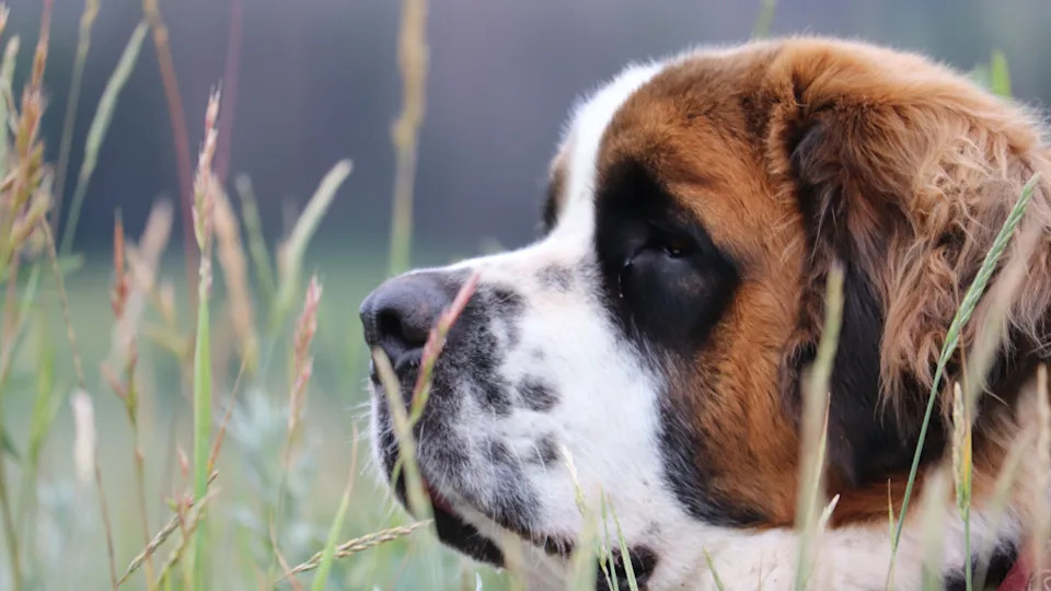 Steven Overby&sol; shutterstock&period;com