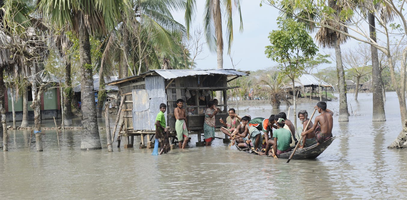 How five countries are adapting to the climate crisis