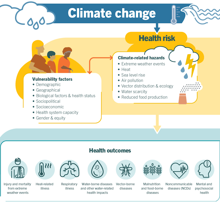 Health risks and outcomes related to climate change.