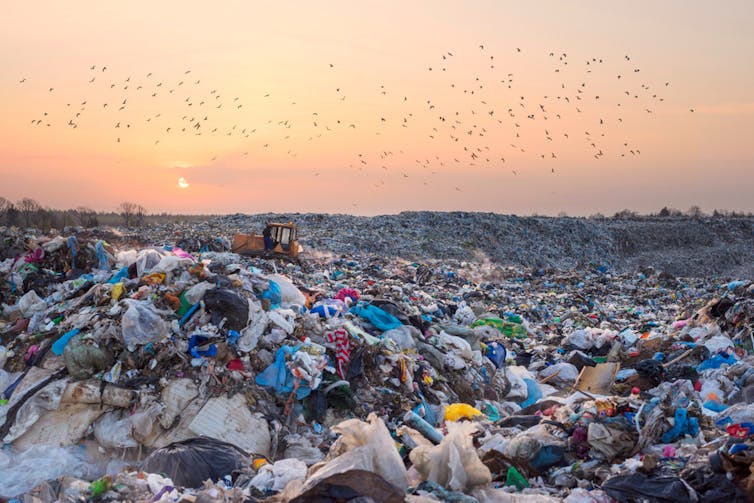 landfill at sunset