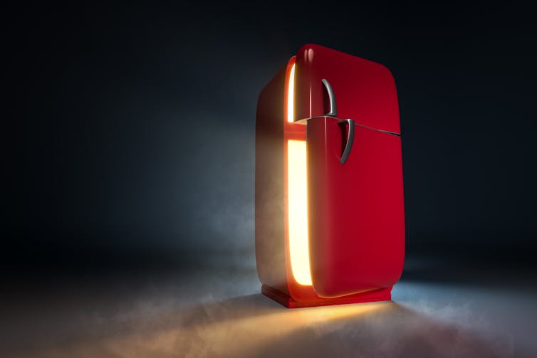 Retro fridge