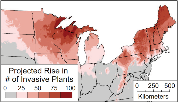 A map of the Northeast and Midwest showing the projected rise of invasive species, with the large number in the northern areas.