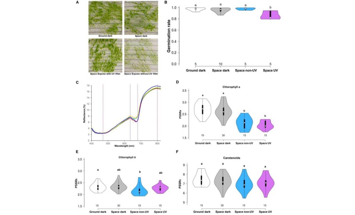 Germination Rate Of Spores And Pigment Changes In Sporophytes Following The Tanpopo4 Mission
