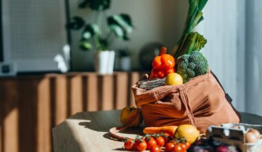 ChatGPT Meal Planning: The Good, the Bad and Everything In Between