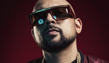 Tinie Tempah, Sean Paul, Shaggy, Fisher and more to headline The Emirates Dubai 7s