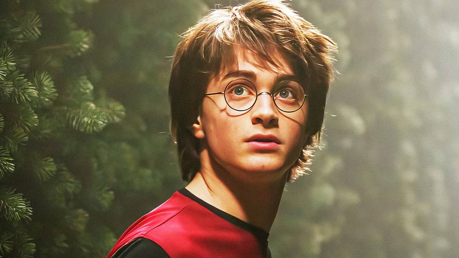 Daniel Radcliffe Shares Advice With New Harry Potter TV Show Cast