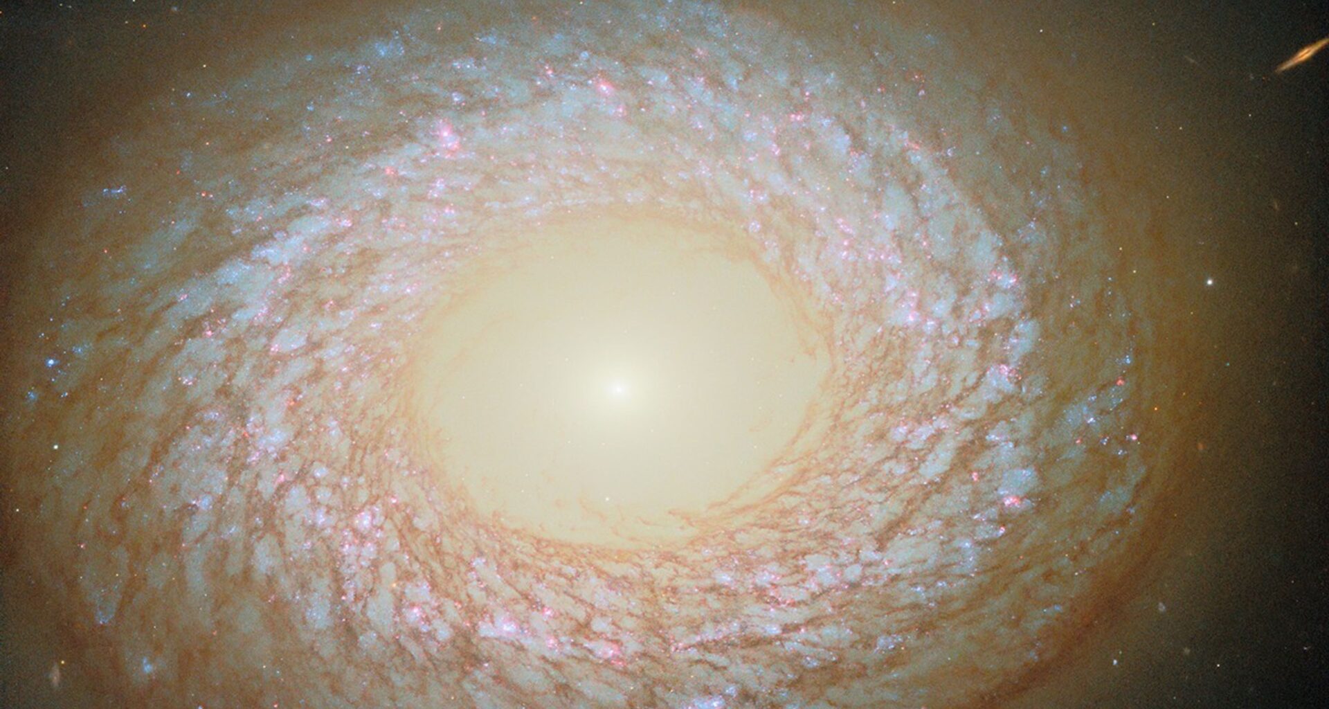 A galaxy seen face-on, with a slightly elliptical disk that appears to have a hole in the center like a doughnut. In the hole, the core is a brightly glowing point that shines light out beyond the edge of the disk. Around the hole is an inner ring of dust, and at the galaxy’s edge is a thicker outer ring of dust, with a swirling web of dust strands in between. Blue stars and red nebulae are visible behind the dust.