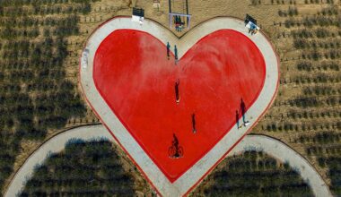 One in five cardiovascular deaths in the EU, preventable by improving the environment | Press releases