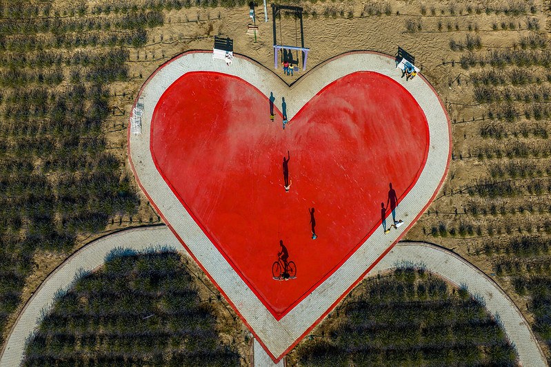 One in five cardiovascular deaths in the EU, preventable by improving the environment | Press releases