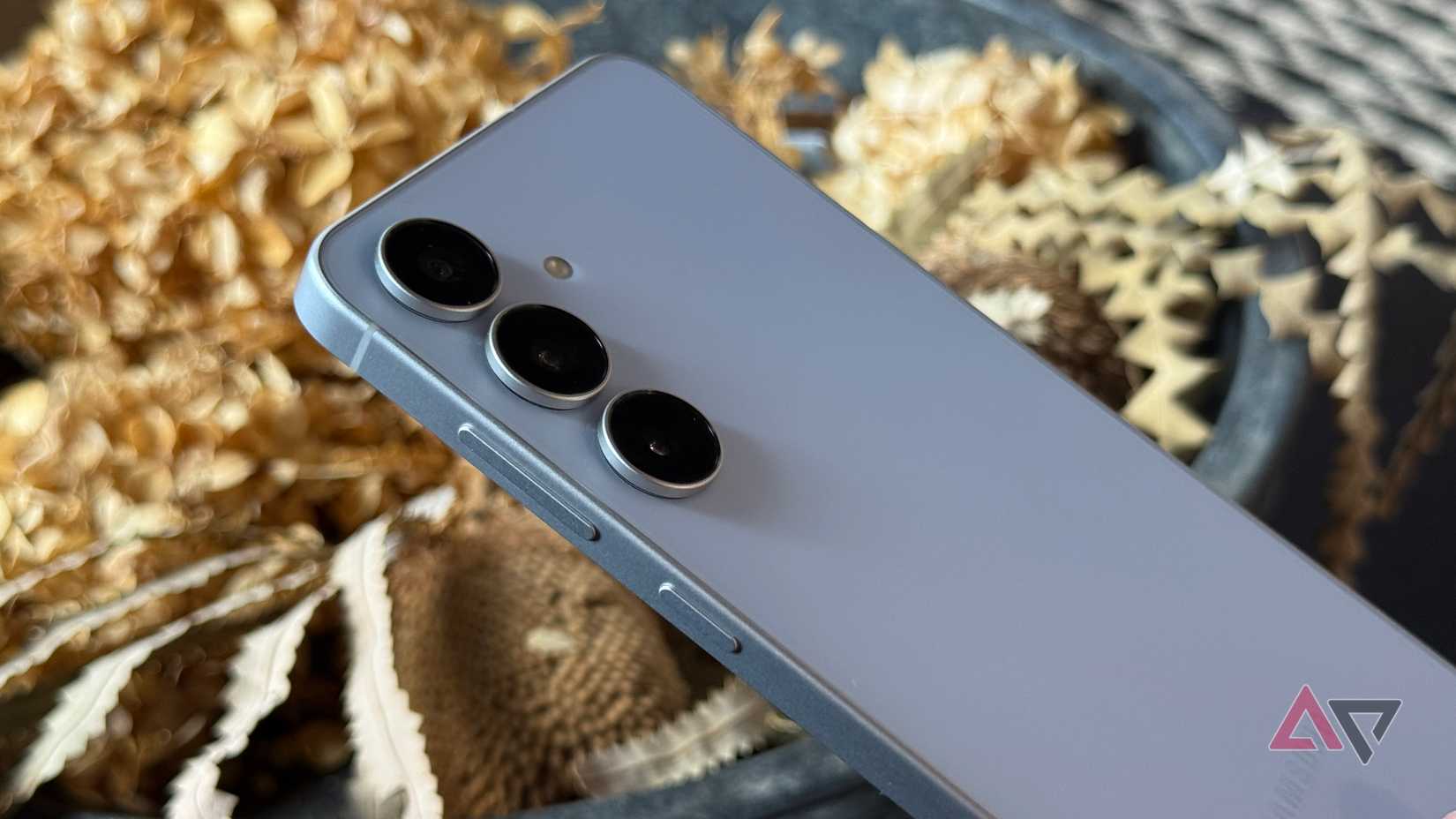 Samsung Galaxy S25 FE in Icyblue with plant in background