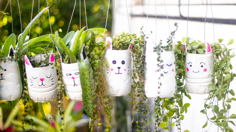 a row of plastic bottle planters decorated to look like bunnies
