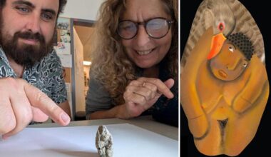 Ancient Israeli figurine shows goose love scene