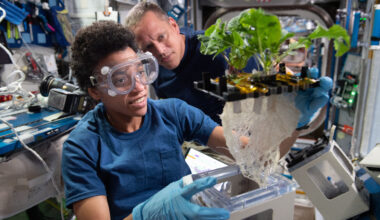 Jessica Watkins wears safety goggles and blue gloves while holding a plant growth unit with leafy greens and a large tangle of roots exposed. Bob Hines, in a black shirt, looks on from the background inside the space station laboratory.
