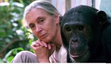 A love story with the wild