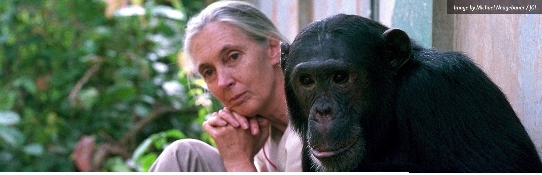 A love story with the wild