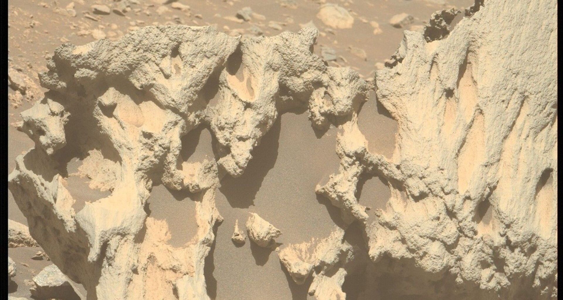 a coral-like rock on a reddish orange dusty surface