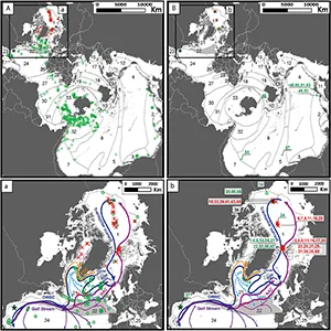 Spilhaus projection of the global ocean map, depicting the world-wide distribution of the two morphotypes of Botrynema, with a knob (Image 1) and without a knob (Image 2), gathered from source literature. Normalized records gathered from the source information are presented in frames “Aa”, and records where molecular information is available in “Bb”. Credit: Deep Sea Research