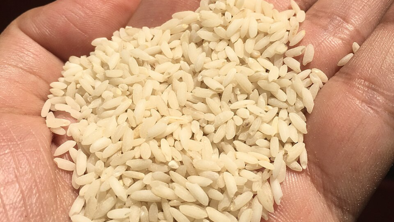Kalanamak rice