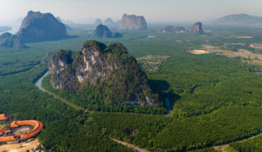 These Two New Dragon-Like Species Have Been Discovered In Thailand