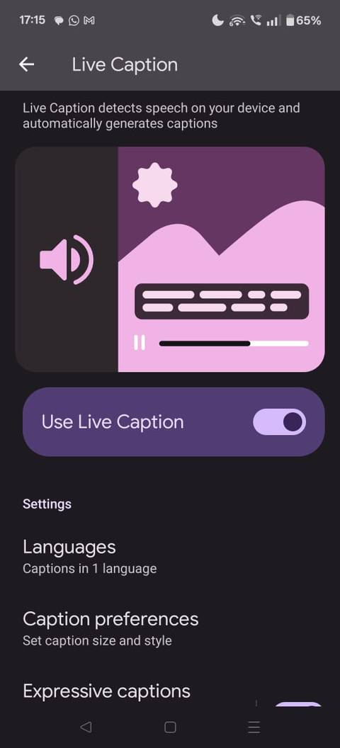 Screenshot showing the Live Caption page under Settings