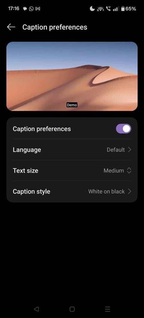 Screenshot showing the Caption preferences