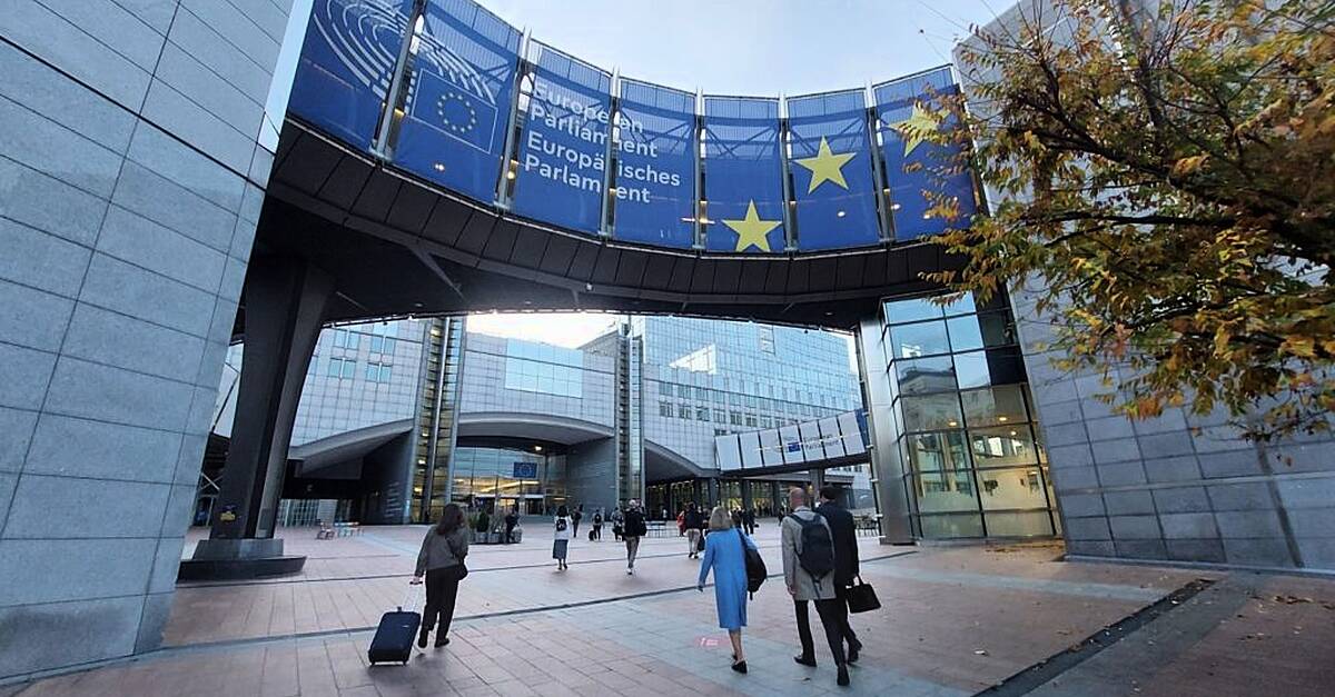 Local MEP disappointed over lack of progress on European Day for Mental Health