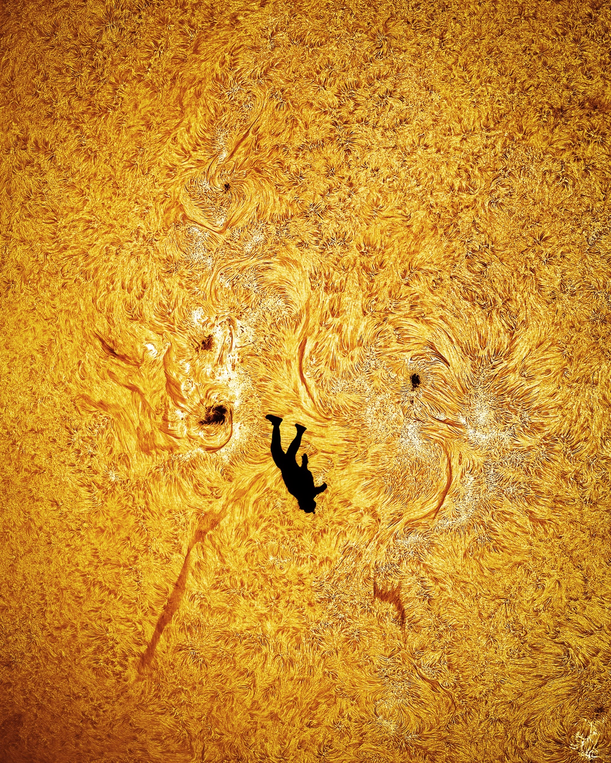 a detail image by Andrew McCarthy of a skydiver falling in front of the sun